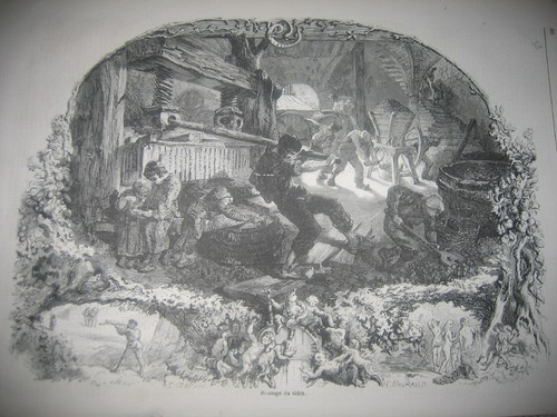Engraving 1858 brewing cider - engraving,