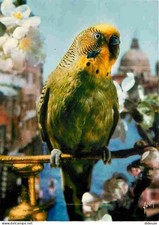 Animals - Birds - The Parakeet - The Birds of Jean Lourane - CPM - See Scans