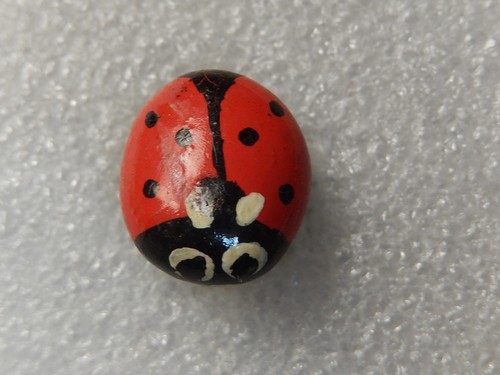 Pin coccinelle - -,