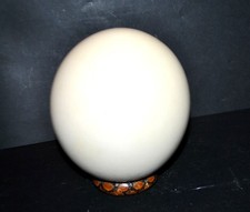 Antique Hollow Out Ostrich Egg with Wooden Foot - Travel Decor Cabinet of Curiosity