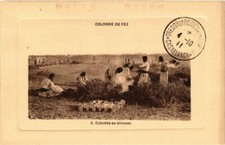 CPA AK MAROC Colonne de FEZ Cuisines au bivouac (688842)