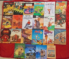 LOT DE 22 BD DIVERSES 