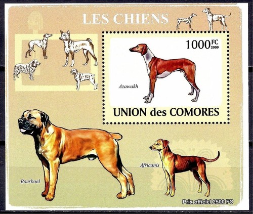 Comore 2009 chiens animaux - 2009,