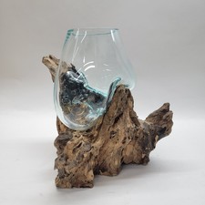 Molten Blown Glass on Teak Driftwood Bowl Bubble Vase Terrarium Planter Large