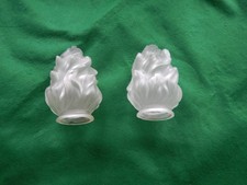 paire de petites tulipes