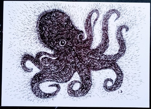Dessin pieuvre kraken - dessin, octopus