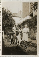 ANTIQUE PHOTO - VINTAGE SNAPSHOT - FUNNY GARDEN DWARF CHIEN ANIMAL - DOG FUN