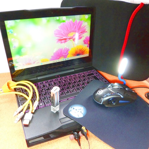 Alienware m11x pouces - r2, 11