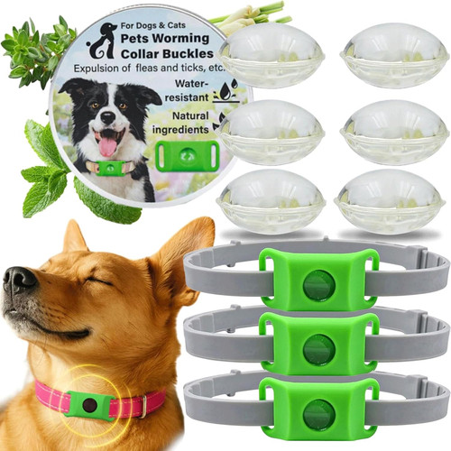Collier antiparasitaire chien - collier,