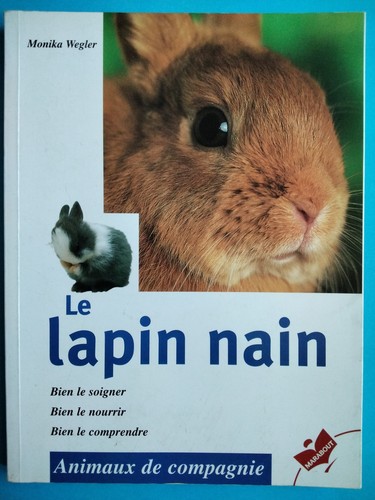 Lapin nain bien le - lapin,