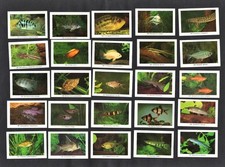 Tropical Fish 25 Rizla Cigarette Papers Trade Cards 1960s Exotic Aquarium Fishes