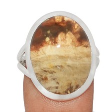 Natural Petrified Wood (Araucaria) Navajo Country 925 Silver Ring s.9 CR62872