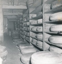 CHEESE CELLAR c. 1950 - Grinding wheels of Gruyère Jura - DIV8915