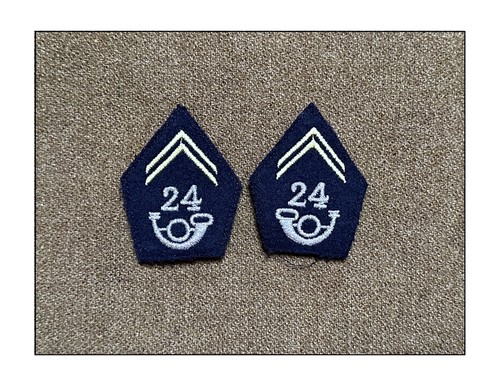 Pattes col 24e bca chasseurs - pattes,
