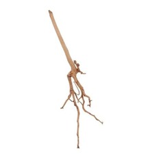 Aquarium Racine Déco Rouge