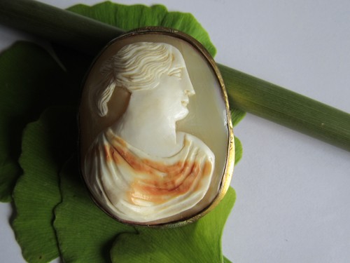 Art nouveau belle - -,