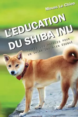 Education shiba inu - l'education, du