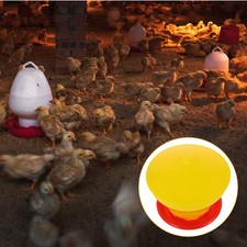  Mangeoire Poule Pour Poussins