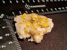 Gold Tier Real Gold Manmade Trinket, Display, Display Case, Great Price!