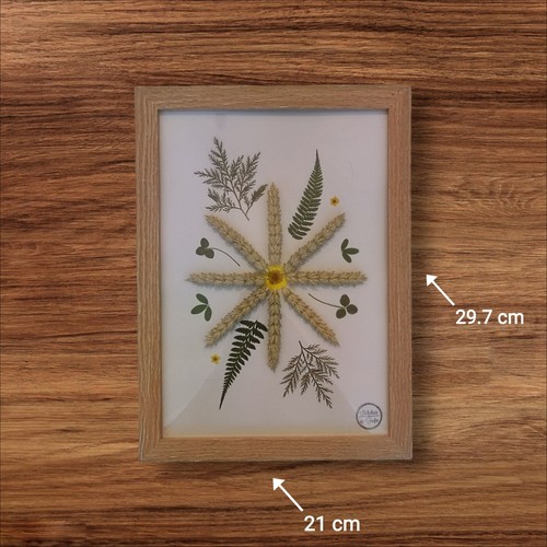 Création herbier fleurs - création, herbier,
