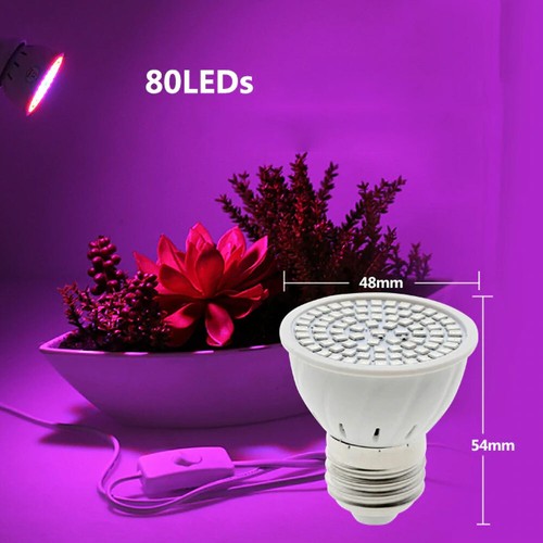 Ampoule led e27 - e27, lampe