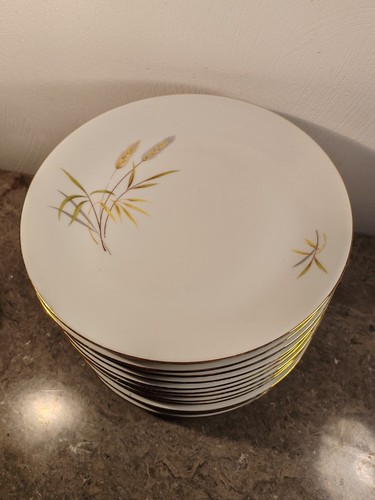 Assiettes plates porcelaine - plates,