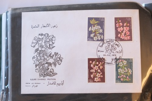 Algérie enveloppe - -,