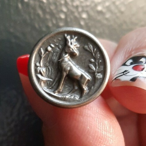 I15507 cerf d16 bouton - bouton, de