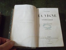 Culture de la vigne et
