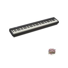 Roland FP-10-BK Portable