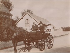 Photo Horse Car