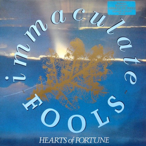 Immaculate fools hearts - ‎–,