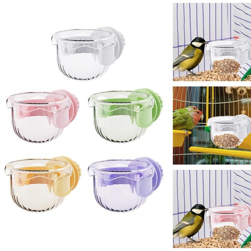 Mangeoire pour petits - petits, oiseaux