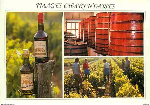 Carte postale charente - carte,