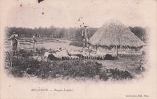 33* ARCACHON bergers landais RL53,0659