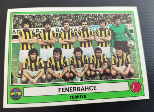 Panini euro football - euro,