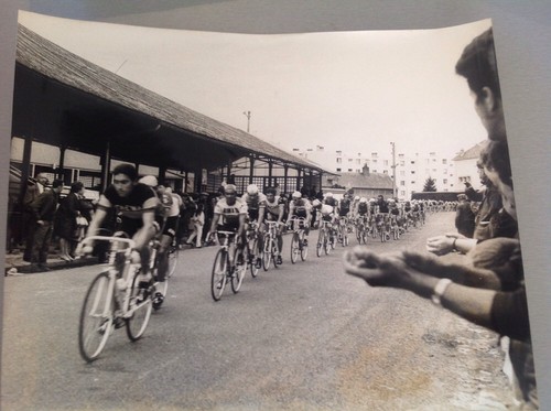 Cyclisme merckx tête de - en,