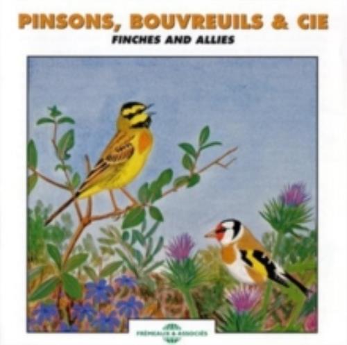 Pinsons bouvreuils cie - pinsons,