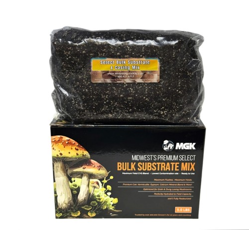 Premium bulk mushroom - bulk,