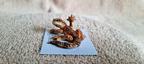Little critterz bearded dragon - critterz,