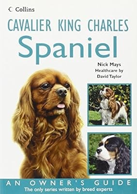 Cavalier king charles - cavalier, spaniel