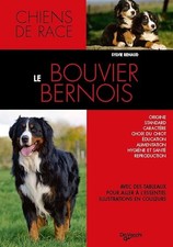 Le bouvier bernois - Renaud