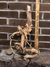 SALE!!! 16” driftwood terrarium  reptile vivarium knarly roots Was $24 SALE $15