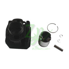 Ensemble Cilintro Piston