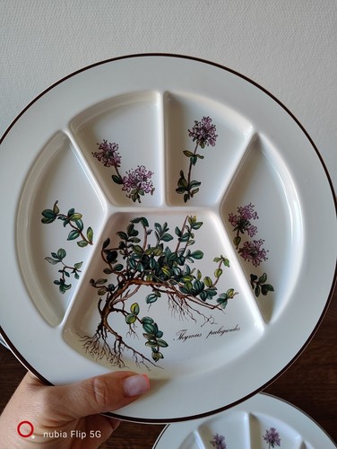 Lot assiettes botanica - lot,