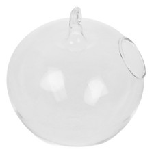 Terrarium En Verre De Table