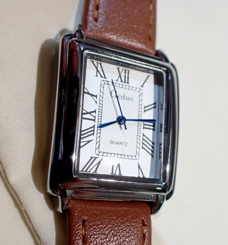 Elegante montre dame - dame, dans