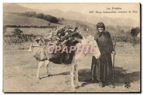 Les pyrénées deux - les,