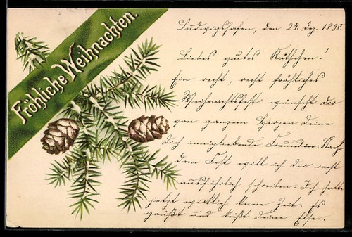 Lithographie branche sapin - lithographie, de