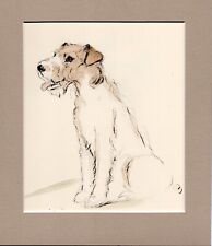 Lucy Dawson ~ Wire Haired Fox Terrier ~ Hand Coloured Print Genuine Vintage 1939